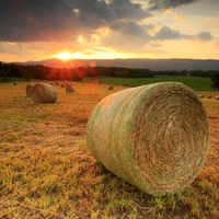 Summer Sunset, Shenandoah, Valley Virginia