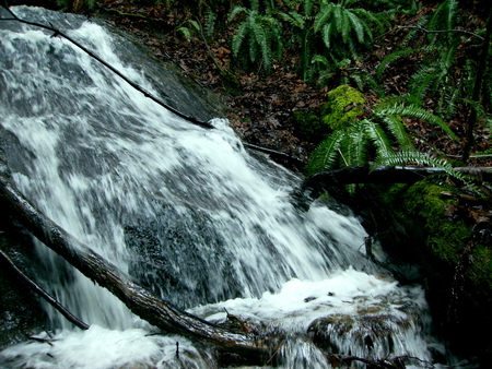 Chuckanut - waterfall, flowing, chuckanut, stream, pacific northwest