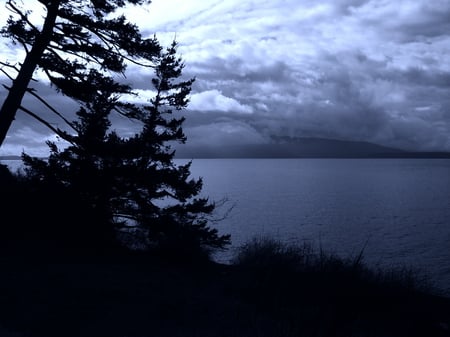 Dark Blue Bay Picture - clouds, trees, water, blue, ocean, dark, bay