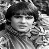 Davy Jones   {IN MEMORY}