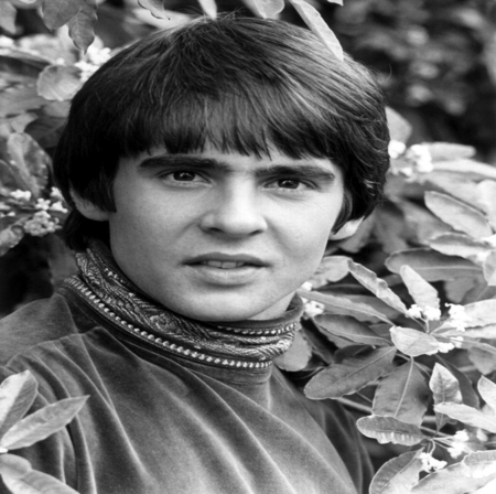 Davy Jones   {IN MEMORY} - entertainment, davy jones, people, music, tv series, actor, singer, the monkees