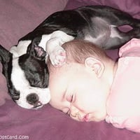 SLEEPING BUDDIES