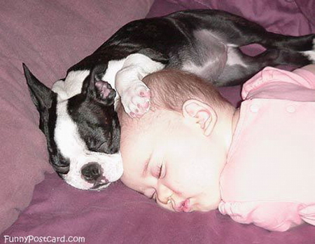 SLEEPING BUDDIES - friends, puppy, baby, asleep