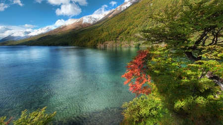 beautiful shore - trees, mountain, sea, shore