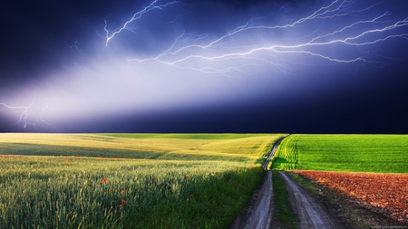 lightning over colored field - fields, lightning, dark sky, road