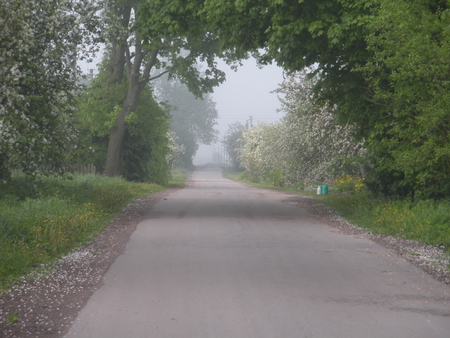 road through the village - spring, nature, fog, road through the village