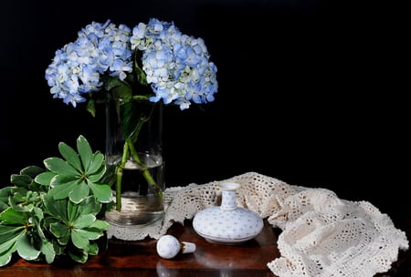 Ladys Got the Blues - ladys, flowers, still life, blue