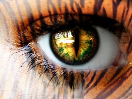 Eye of The Tiger - tiger, design, paint, tear duct, eyelash, tiger eyes, eye of the tiger, make up, female, eye, tiger eye