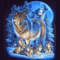 Wolf Pack in Blue