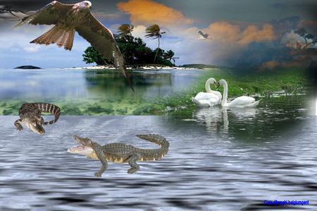 Eagle Fantasy - eagle, swan, alligator, sky, animals