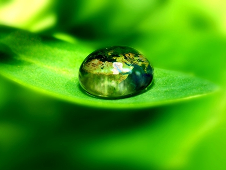 Water Drop - drop, picture, water, cool