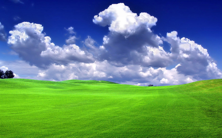 Bliss Field of Grass - sky, clouds, field, nature, grass