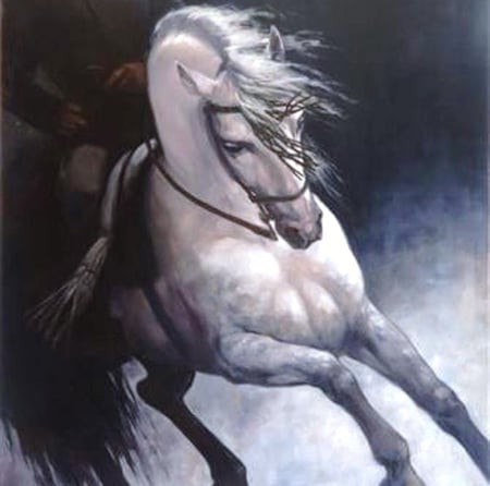 Bravery - horses, andalusian, spanish, grey