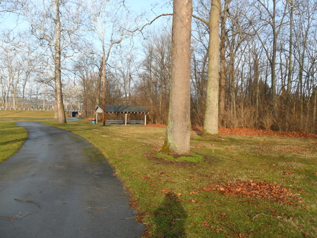 The path - path, trees, green, grass, shadow, bike path