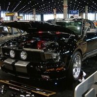 Mustang GT 500