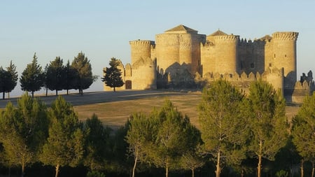 castle on a hill - hill, castle, trees, sunlight