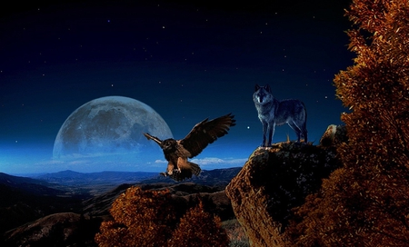 HUNTERS MOON - moon, sky, stars, animals, night, mountains, hunters, wolf, eagle