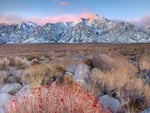 desert in winter hdr