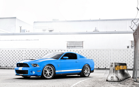 Shelby_GT_500 - gt, ford, white strip, blue