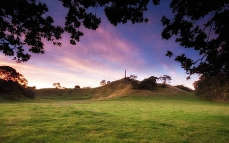 cornwall-park-dusk - fields, trees, nature, outdoors