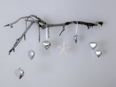 Silver LOVE - love, branch, ideas, fashion, design, christmas, home sweet home, entertainment, starfish, hearts, silver, happiness, starsea, decoring, happy