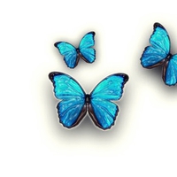 Three Butterflies