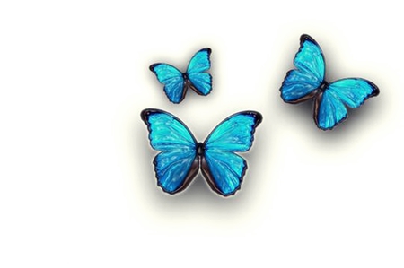 Three Butterflies