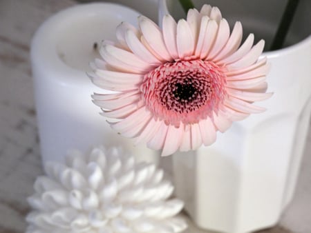 Once In A While... - flower, vase, pale pink, love, gerbera, forever, candle, white, bright, light, wonderful, entertainment, fashion