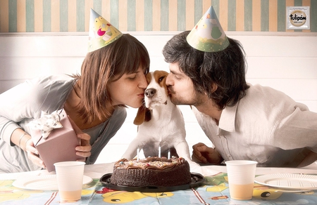 Our pet birthdayâ™¥ - special, third member, gift, animals, delicious, sweetheart, dog, festive, family, chocolate, love, present, pet, lovely, celebration, cake, kiss, birthday