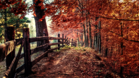 The Edge of Red - edge, hill, nature, autumn, peaceful, cliff, beautiful, colorful