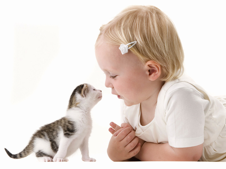 Friends - cat, white, friend, little girl