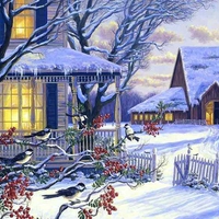 By Randy van Beek