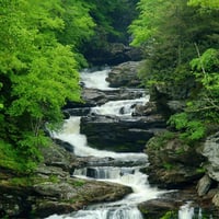 Waterfall in the Forest