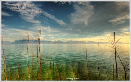 distant mountains on a lake - twigs, photograph, lake, mountains