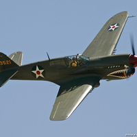 P40 Kittyhawk