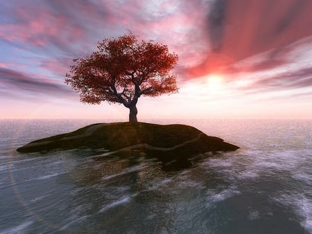 Sunset - sunset, nature, island, tree, sky