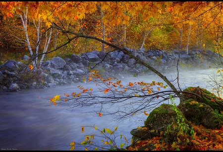 Autumn on Sebec River-Maine - autumn, trees, river, leaves, rocks