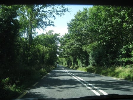 Road Through the Wicklow Mountains, Ireland - ireland, trees, travel, wicklow, road