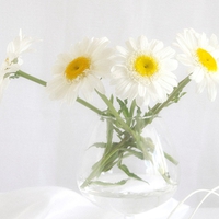 Bright day