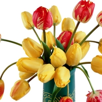 Lovely tulips