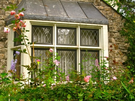 garden view - nature, view, window, house, flowers, garden