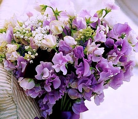 Bouquet - summer, beauty, colors, bouquet, flowers, nature, purple, soft, gift