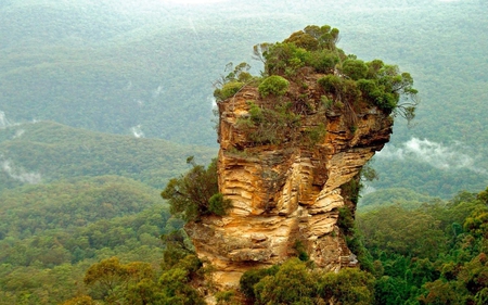 Roca - hd, naturaleza, arboles, verde