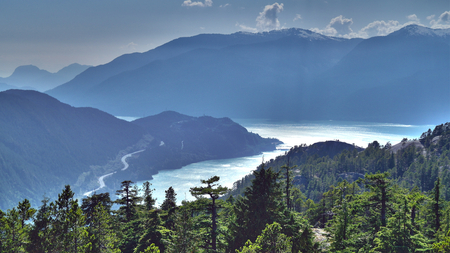 misty fjord - fjord, road, forest, mountains