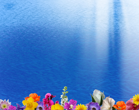 Sea & flowers - sea, blue, flower, light