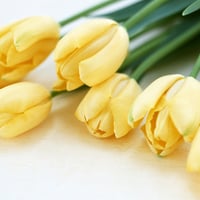 Yellow Tulips for Anne (YellowForever)