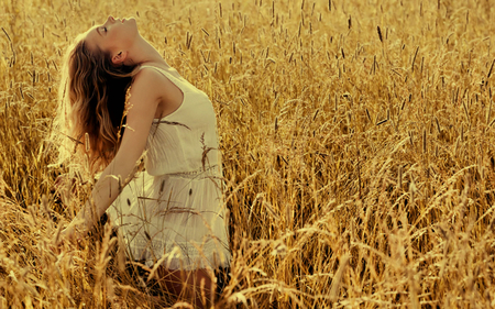 Embrace The Sun - woman, beauty, girl, sunlight, photography, blond, field, nature, beautiful