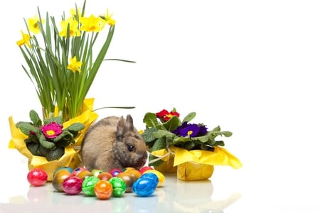 Easter bunny - reflections, eggs, yellow, blue, stems, foil, easter, flowers, holiday, red, rabbit, dandelions, bunny, orange, petals, flower pots, colorful, white, easter eggs, season, green, cute