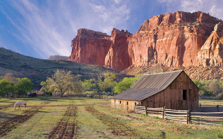 Fruita Capitol Reef National Park, Utah - nature, sky, horse, canyon, animal, field, house