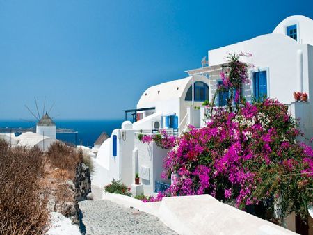 	my dream - island, flowers, house, santorini